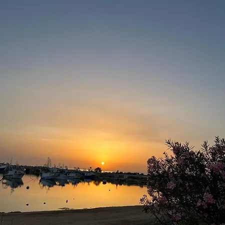Sicilia Mare Casa 150 M Al Mare סקוליטי